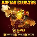 Daftar Club388 Situs Judi Sabung Ayam Online