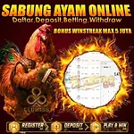 Daftar Club388 Situs Judi Sabung Ayam Online