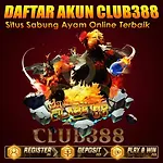 Daftar Club388 Situs Judi Sabung Ayam Online