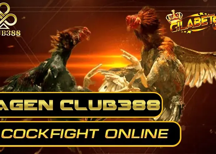 Daftar Club388 Situs Judi Sabung Ayam Online