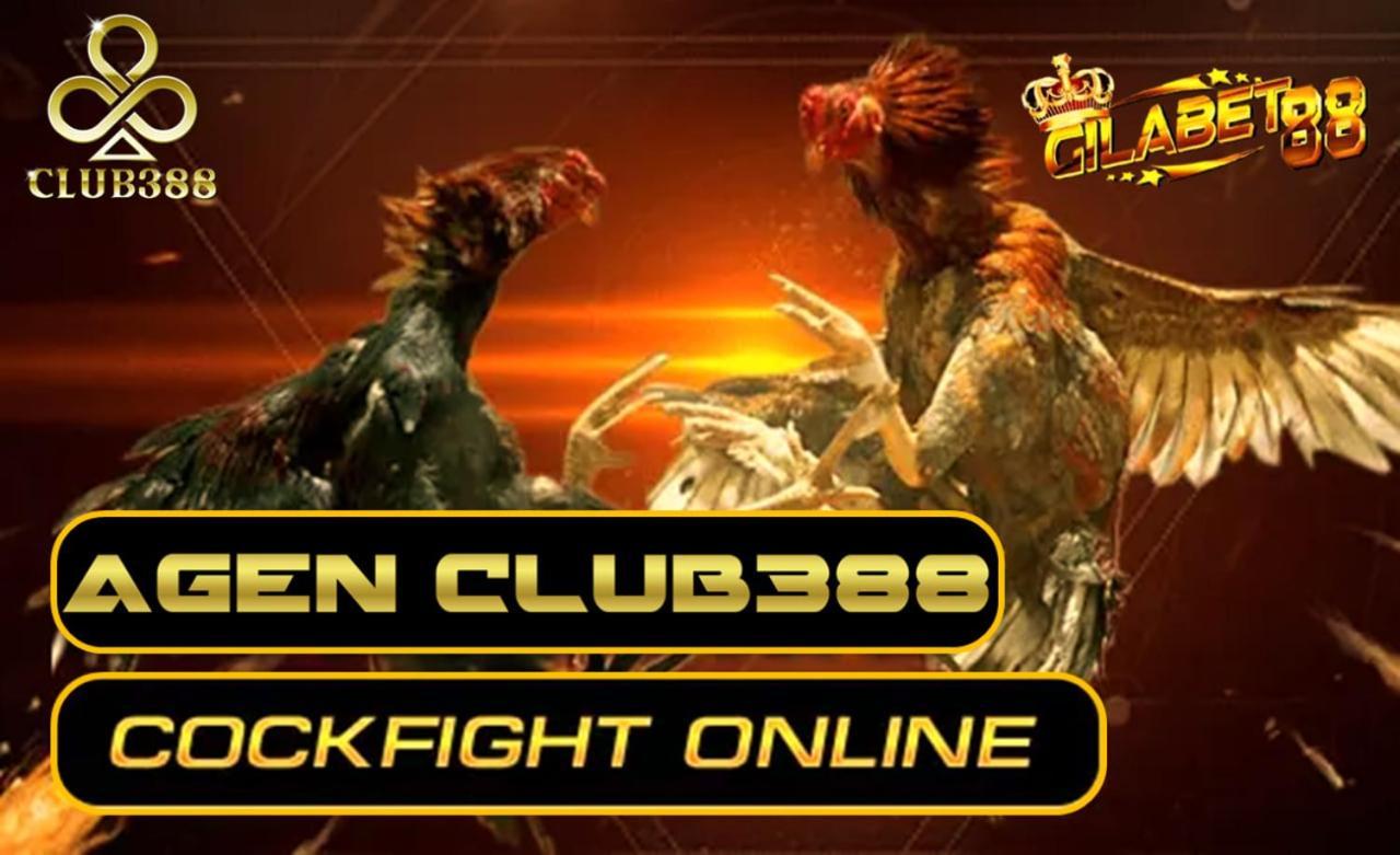 Daftar Club388 Situs Judi Sabung Ayam Online Apartemen Kuta (Bali)